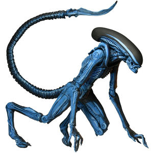 Figura <span class=keywords><strong>de</strong></span> Acción <span class=keywords><strong>de</strong></span> Alien <span class=keywords><strong>Perro</strong></span> <span class=keywords><strong>de</strong></span> NECA, Modelo Coleccionable <span class=keywords><strong>de</strong></span> Juguete <span class=keywords><strong>de</strong></span> 17 cm - Product Image 3