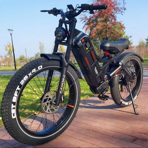 Vélo électrique Eahora Romeo Pro personnalisable avec moteur puissant 2*120n-M 48v 60ah, batterie grande capacité, cadre en acier, modèle Mountain Romeo Romeo R - Product Image 1