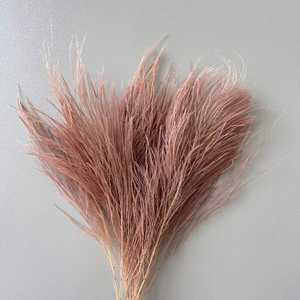 Stipa Pennata séchée romantique, herbe à plumes séchée, herbe à plumes conservée, herbe de pierre - Product Image 5