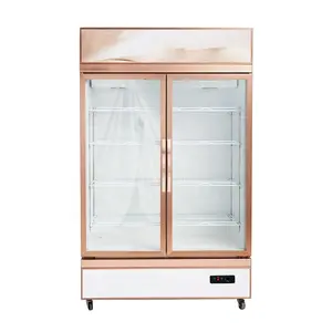 Marco de puerta de metal Refrigerador de exhibición de botellas de 2 puertas Refrigerador de refrescos