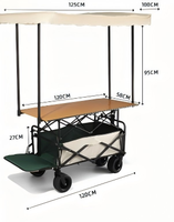 Chariot de Vente Portable en Acier BTYP TC-07, Chariot Pliant Multifonctionnel avec Auvent Amovible, Magasin Mobile pour Camping et Soirées