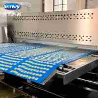 Machine à fabriquer des bretzels Skywin, équipement automatique, ligne de production de biscuits classiques