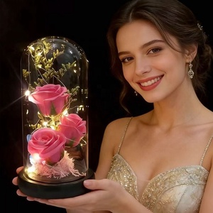 Nuovo Arrivo Transfrontaliero Direttamente dalla Fabbrica: Rosa Luminosa a <span class=keywords><strong>LED</strong></span> AIDA a Forma di Cupola con Fiori di Sapone e Copertura in Vetro per Soggiorno e San Valentino - Product Image 1