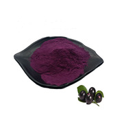 Fabriekslevering 100g monster Acai-bessenpoeder Hoge kwaliteit Aronia-bessenextract 25% Anthocyanen Maqui-bessenextract