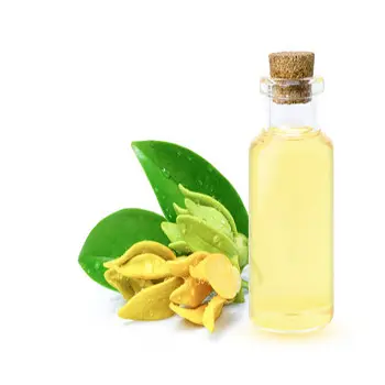 GMP fornisce olio essenziale per rendere sfuso l'olio essenziale di profumo Ylang Ylang per contribuire A creare un ambiente rilassante
