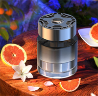 Diffuseur de parfum pour voiture en verre personnalisé, évaporation naturelle, design moderne et populaire - Portable, prix d'usine, parfum longue durée, unique