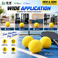 Balle de pickleball en mousse haute densité de 70 mm, balle de rebond solide pour entraînement en salle, fabrication OEM ODM, vente en gros