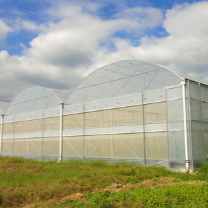 Skyplant Large Fully Automated Multi-Span PE Greenhouse Garden Plastic Film Hydroponic System for Vegetables - Product Image 1