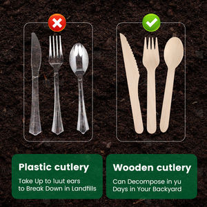 100% Set di posate in legno monouso in betulla naturale (50 pz)(25 pz) include forchetta a cucchiaio - Product Image 5