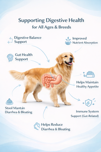 Probióticos para Perros y Gatos OEM, Suplemento en Polvo de Aceite de Pescado, Absorción Rápida, Alivia la Hinchazón y los Cólicos, Salud Digestiva, Cuidado de la Salud de las Mascotas - Product Image 2