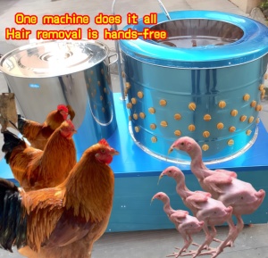 Desplumadora de Aves y Lavadora 2 en 1 Motorizada <span class=keywords><strong>para</strong></span> una Preparación Avícola Higiénica - Product Image 3
