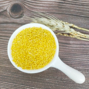 Prodotti agricoli nutrienti sani <span class=keywords><strong>miglio</strong></span> giallo di migliore qualità per Porridge e colazione - Product Image 2
