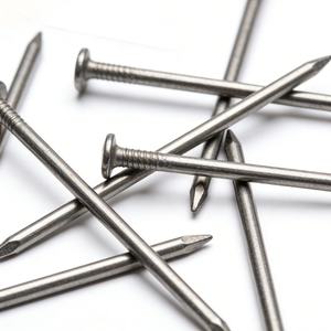 Clous communs en acier au carbone pour bricolage, 3/4" et 1", nouveau style, tige lisse, tête plate, finition zinguée, en carton - Product Image 3