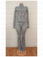 Ensemble deux pièces pour femme imprimé léopard : Sweat à capuche court zippé et short taille haute coupe ajustée, style streetwear au-dessus du genou