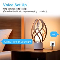 Prise Intelligente Électrique Antela avec Passerelle Foro Passante 16A 240V, Contrôle par Application Wi-Fi, Interrupteur Universel en Plastique Marche-Off-Marche