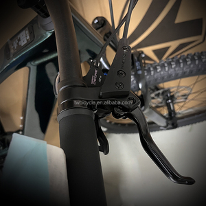 2026 New EM19 High Modulus Carbon Fiber Soft Tail EMountain Bike M820 Mid Motor Full Suspension Off Road EM19(M6100/12S+M820, HI - Product Image 2