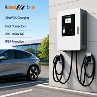 Connecteurs de charge double 40kW 60kW 80kW GBT CCS2 Wallbox DC EV Charger Station de charge compacte commerciale avec OCPP