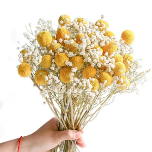 Mini Flor de bola de 1cm, flor <span class=keywords><strong>feliz</strong></span> de piña seca Natural para Arreglo de decoración del hogar para Navidad y Día DE <span class=keywords><strong>LA</strong></span> Madre - Product Image 5