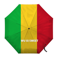 Parapluie pliant entièrement automatique, format compact et peu encombrant, motif drapeau culturel de la Mauritanie, style thématique national