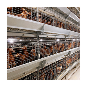 Satılık tavuk çiftliği ekipmanları için yüksek kaliteli hayvan kafesi Pullet tabakası tavuk kafesi - Product Image 2