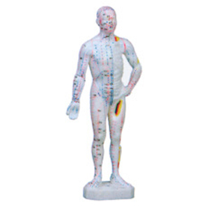 Modelo de Acupuntura do Corpo Humano em PVC Macio de 46cm da Ciência Médica de Xangai, China, para Treinamento de Enfermeiros - Product Image 1