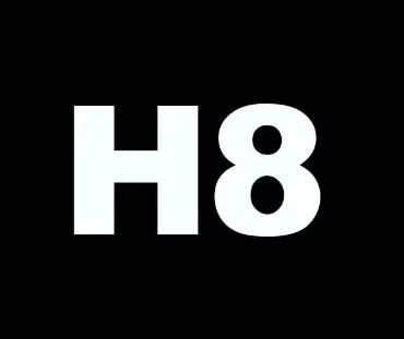 เอช8