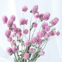 Magnifiques fleurs roses en boule, fleurs séchées, globe amarante naturel, gomphrena globosa séchée, panier en bambou décoratif pour la remise des diplômes