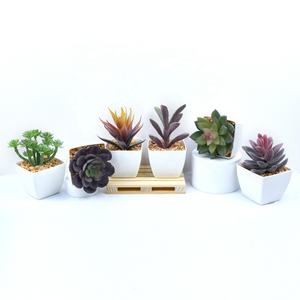 Lifelike Succulent Plants in White Square Pot Faux Plastic Succulents in Pot for Desktop Hotel Office Home Decoration