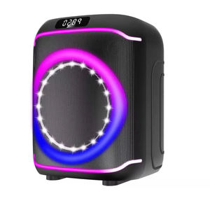 2024 máquina de karaoke de gran venta con estructura de madera, 2 micrófonos inalámbricos y ajuste de graves/agudos/ECO/alto, 6 modos de sonido - Product Image 1