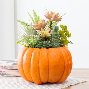 Piante Succulente Artificiali in Plastica a Forma di <span class=keywords><strong>Zucca</strong></span>, Decorazione per Interni di Halloween, Vendita Diretta all'Ingrosso - Product Image 1