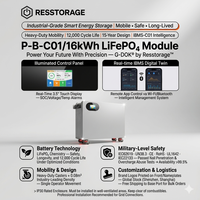 Pack de batteries LiFePO4 séparées 16 kWh 51,2 V CAN pour système d'onduleur solaire et stockage d'énergie commercial