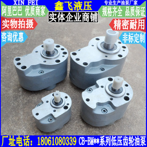 Pompe à huile à engrenages série CB-BM en fonte, basse pression, hydraulique, pour le transfert d'huile de lubrification - Product Image 3