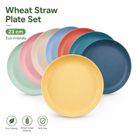 Ensemble d'assiettes écologiques en paille de blé, assiettes à dîner incassables, biodégradables, sans BPA, compatibles micro-ondes, vaisselle pour enfants et adultes