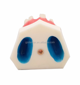 Modello mandibolare dentale in resina Danter con osso cancelloso 6x7x3cm modello A2028 per la pratica dell'impianto nella scienza medica - Product Image 5