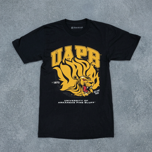 เสื้อยืดมหาวิทยาลัยอาร์คันซอ ไพน์ บลัฟฟ์ UAPB ผ้าฝ้ายเนื้อแน่น ระบายอากาศได้ดี น้ำหนัก 260 กรัม เป็นมิตรกับสิ่งแวดล้อม เสื้อยืดวิทยาลัย ยูนิเซ็กส์ สำหรับใส่ในมหาวิทยาลัย ผลิตตามแบบ OEM - Product Image 2