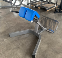 Plaque de musculation chargée machine utilisation commerciale pour la force d'exercice de gymnastique Extension du dos chaise romaine