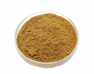 Suministro <span class=keywords><strong>de</strong></span> fábrica Stigma Maydis polvo flavona polisacárido Extracto <span class=keywords><strong>de</strong></span> seda <span class=keywords><strong>de</strong></span> maíz - Product Image 3