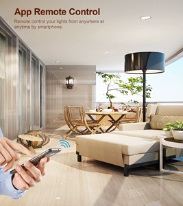 2025 actualización 2 canales Wifi o Zigbee interruptor de luz temporizador Tuya Smart Wifi y módulo de interruptor ZigbeeDimmer - Product Image 6