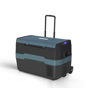 WAYCOOL TEG35 30L réfrigérateur de voiture de haute qualité DC12V/24V ou AC100 ~ 240V avec compresseur pour l'extérieur et les voyages en voiture - Product Image 1