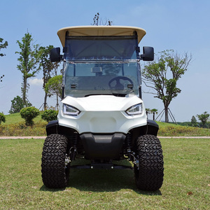 Voiturette de golf <span class=keywords><strong>utilitaire</strong></span> 72V avec moteur 5kw, 2 <span class=keywords><strong>places</strong></span>, buggy électrique pour fermes - Product Image 3
