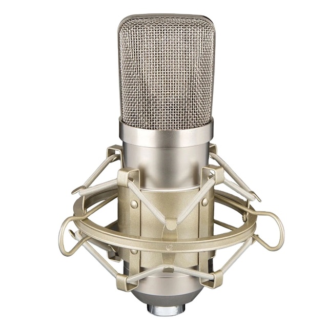 Professional Condenser Microphone Music Sound Mic Recording Studio Podcast Equipment Microfono with Stand