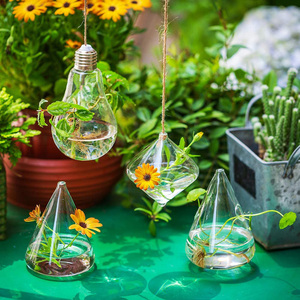 Vaso pensile in vetro a fiore aperto per piante aeree, terrari e decorazioni murali - Ecologico e fatto a mano per la casa (Vendita all'ingrosso) - Product Image 4