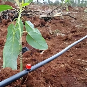 หัวจ่ายน้ำแบบปรับได้ทรงลูก<span class=keywords><strong>ศร</strong></span>พลาสติก สำหรับประหยัดน้ำในการทำสวน บ้าน และระบบน้ำในโรงเรือน - Product Image 2