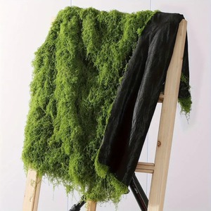 Plantes artificielles vertes mousse simulée et mousse verte bonsaï style fil micro paysage décoration mousse flocage - Product Image 1