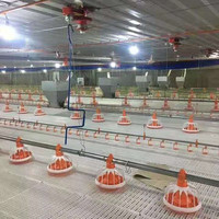Nouvel équipement d'élevage avicole, ligne d'alimentation automatique pour poulets, bac à poulet en acier galvanisé à haute rigidité