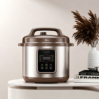 Cuisinière électrique intelligente 5L, contrôle par micro-ordinateur, verrouillage de sécurité, cuisson rapide, appareil de cuisine