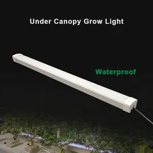 120W Under Canopy Lighting 2.8Umol/J 4ft Indoor Greenhouse Underground Lights Full Spectrum Under Canopy Led Grow Light 120 Watt