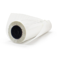 Film DTF pour impression par transfert thermique, rouleau de film PET 60 cm double face, instantané/chaud/froid, imprimante jet d'encre, film de transfert PET DTF