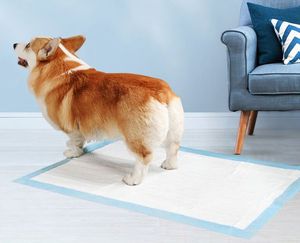 Lingettes absorbantes pour animaux de compagnie, épaisses et plus grandes, imperméables, pour chiens - Product Image 3
