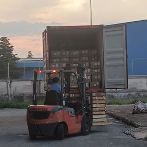 Broderie épaissie Fine Monofilament Spandex Caoutchouc Épaule Vêtements Tissus Venti-lator Ruffle Knit Net Woven Web Band Knit - Product Image 5